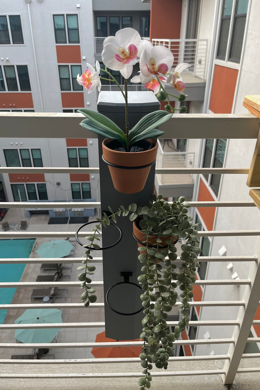 Hanging Garden