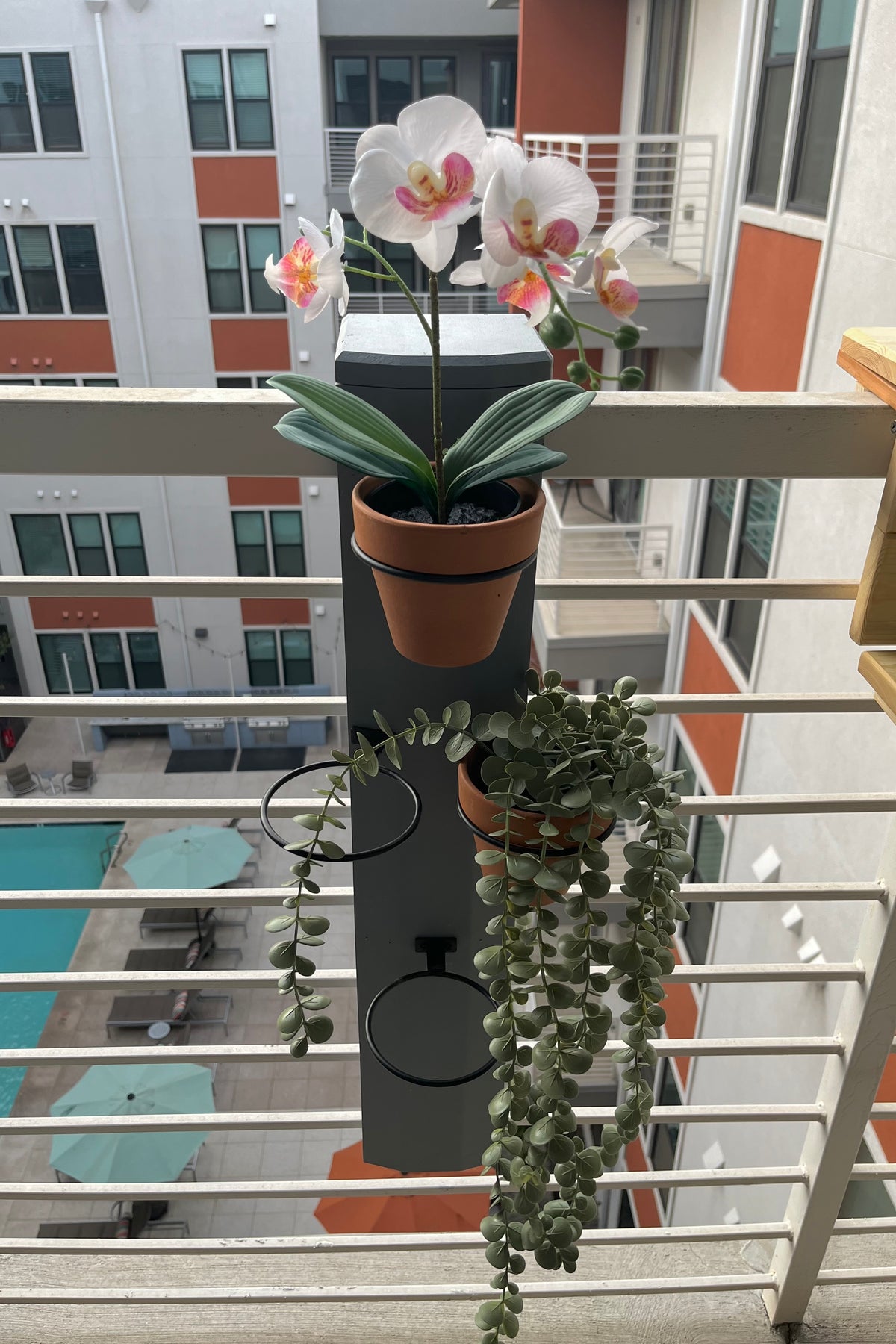 Hanging Garden