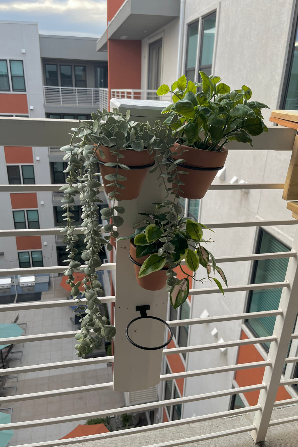 Hanging Garden